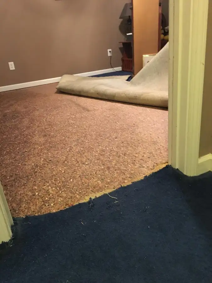 Carpet pad removal revealing water damage during Water Mitigation Services in North Tonawanda
