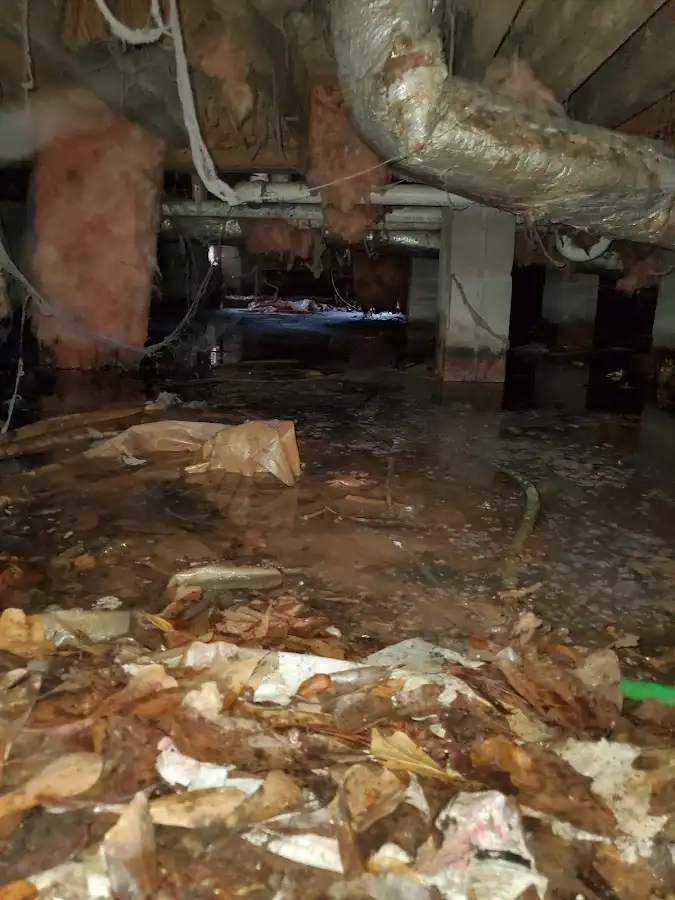 Crawl space flood assessment for Leak Detection & Repair in North Tonawanda